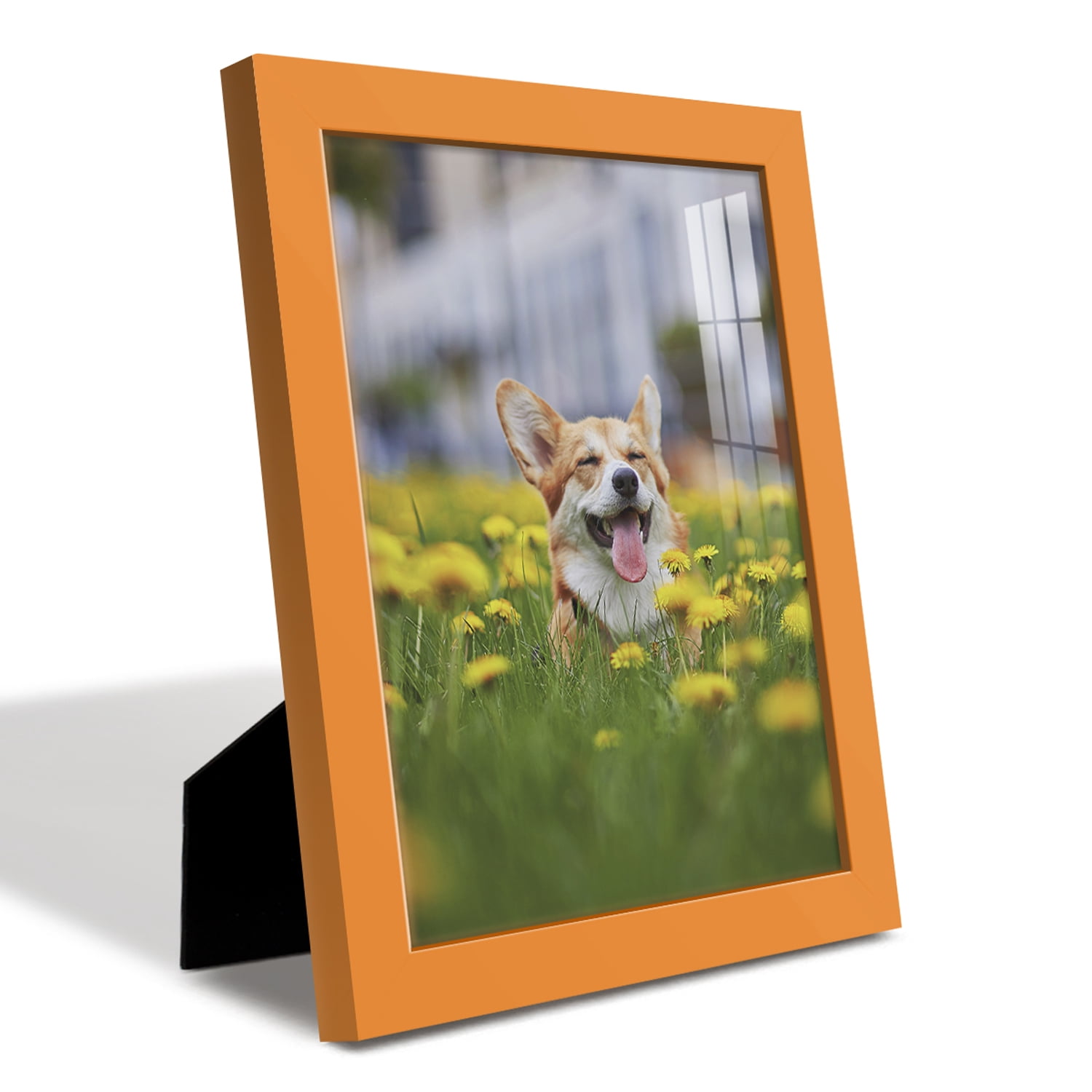 Modern 8 in. x 10 in. Orange Picture Frame (Set of 2)