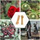 thumbnail image 4 of Guantes de poda con estampado de jardín para hombres/mujeres, guantes de jardinería antiespinas para plantar flores, los mejores regalos y herramientas de jardinería Vhermosa CPB-US-DYP09-1, 4 of 5