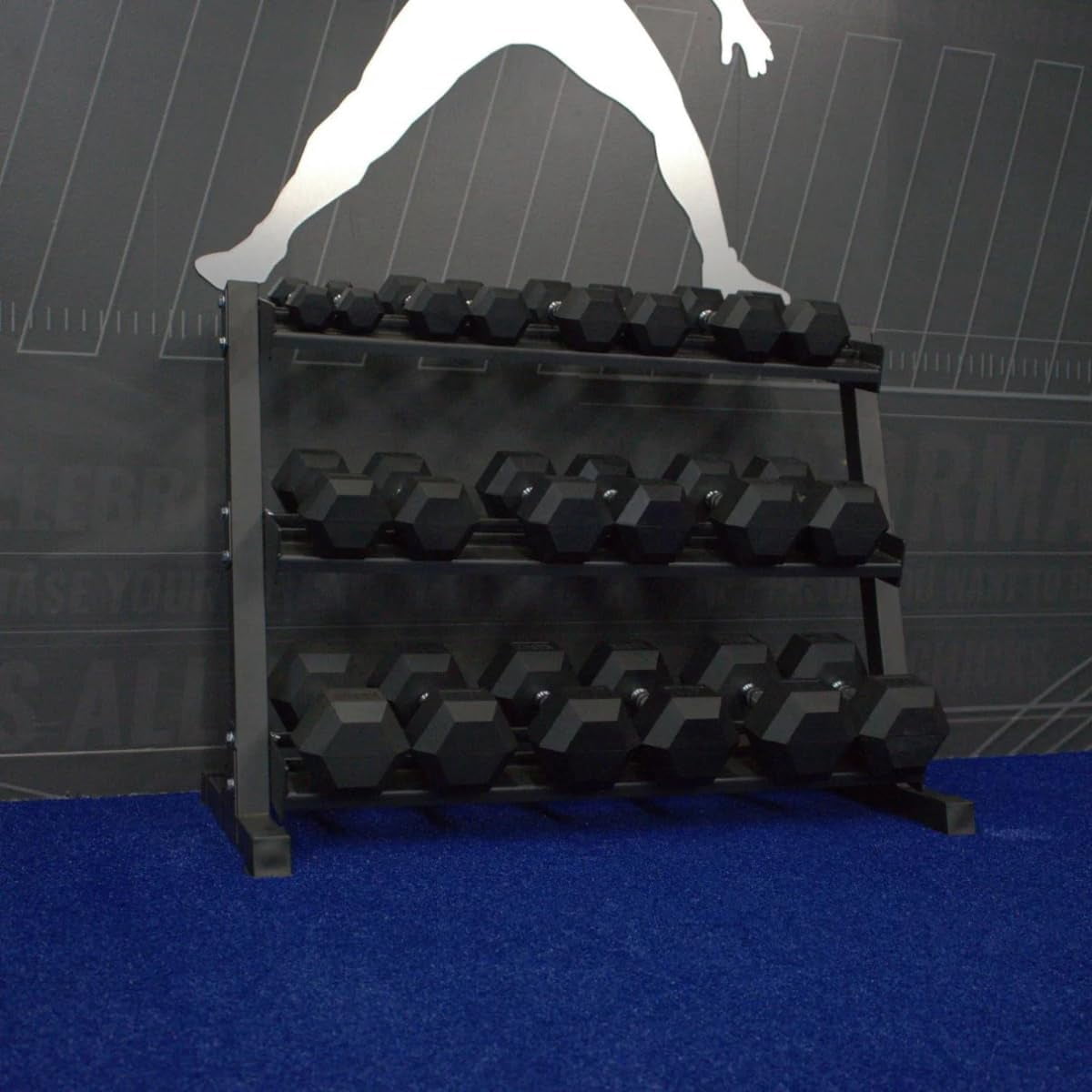 Gronk Fitness 5-50 LB Hex Dumbbell Set with Rack