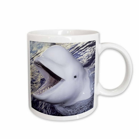 

3dRose Beluga Whale Delphinapterus leucas Ceramic Mug 11-ounce