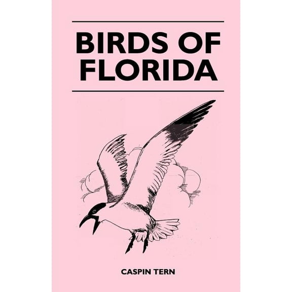 Birds of Florida, (Paperback)