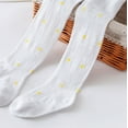 thumbnail image 4 of TAIAOJING Toddler Baby Kids Girls Leggings Flower Print Pantihose Stretchy Spring Summer Pantyhose Casual Joggers, 2-3 Years, 4 of 5