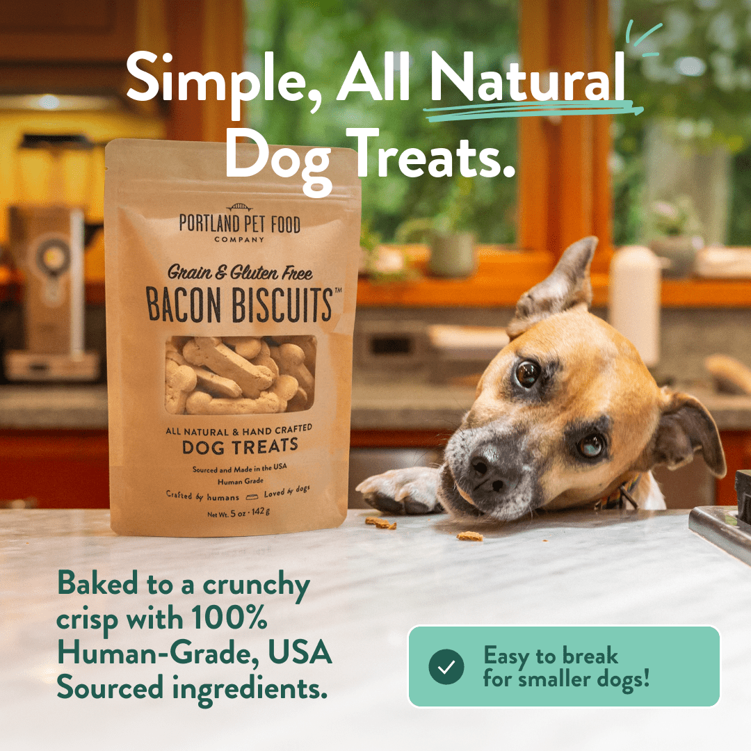 Portland Pet Food Company Natural Dog Treats Variety Pumpkin Gingerbread & Bacon Dog Biscuits - Grain-Free, Human-Grade Healthy Training & Snacks - Small, Large Breed - Made in the USA - 3 Pack