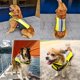 thumbnail image 3 of RV M, Amarillo Chaleco Salvavidas para Perros Chaleco Salvavidas para Mascotas Chaleco Salvavidas para Perros Chaleco Reflectante de Seguridad Chaleco Salvavidas para Perros de tamaño Ajustable para Nadar Surf, Navegar, Cazar Rojo Verde, 3 of 5