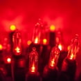 thumbnail image 2 of Wintergreen Lighting LED Christmas Tree Lights, T5 Mini Lights, LED String Lights, Christmas String Lights, 50 Lights, Green Wire, 2 of 7