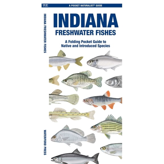 Pocket Naturalist Guide: Indiana Freshwater Fishes : A Waterproof Folding Guide to Native and Introduced Species (Other)