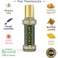 thumbnail image 3 of Involve Rainforest Spring Water Scent Car Perfume - Fresh Fine Fragrance Spray Air Freshener - IRF08, 3 of 5