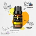thumbnail image 2 of KRIAA Goodness Top 12 Essential Oils Set, 12 x 10ml, 100% Pure and Natural, 2 of 7