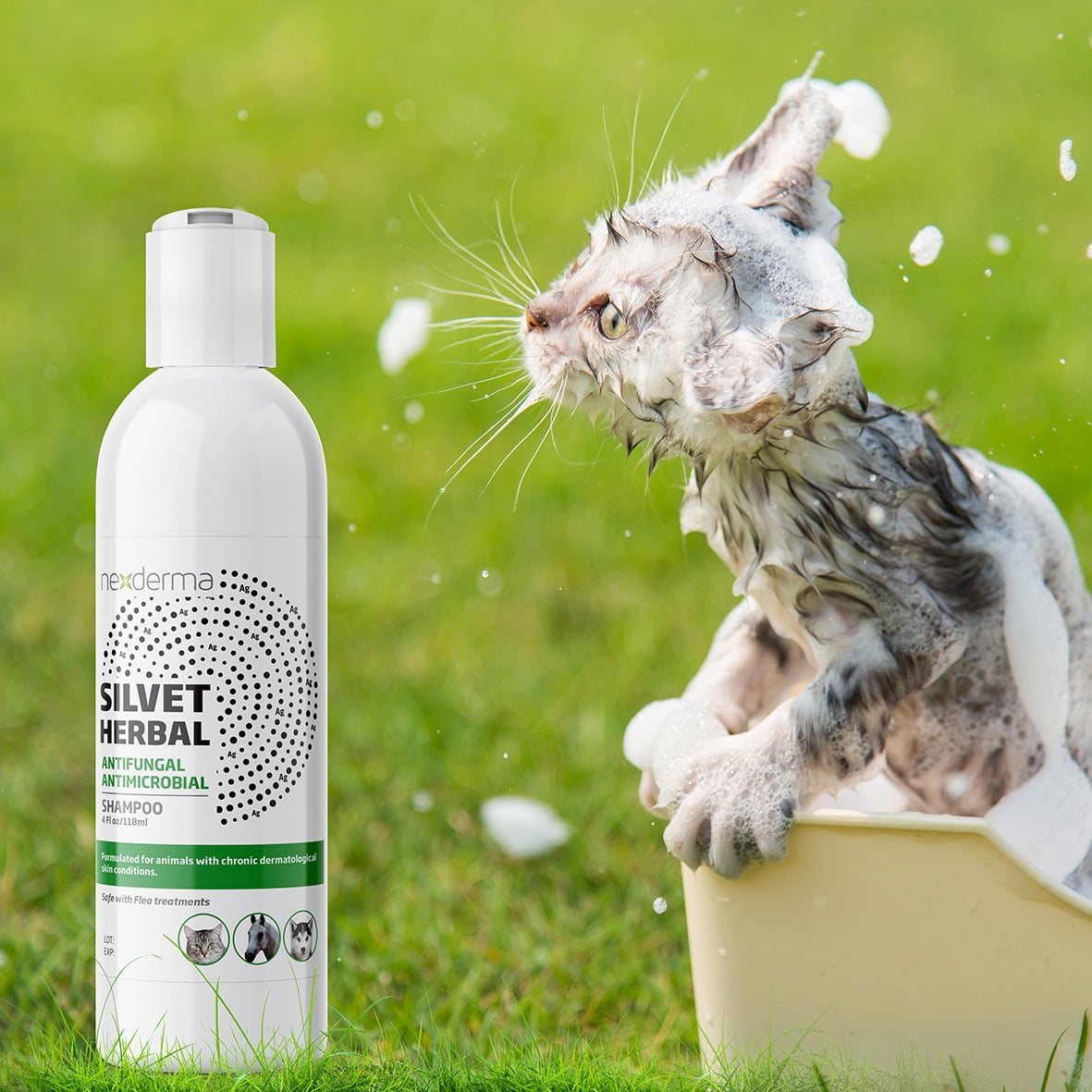 antifungal shampoo for cats walmart