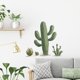 thumbnail image 1 of Adhesivos de pared autoadhesivos de PVC con diseño de cactus del desierto tropical, 49 x 50 cm, 1 of 4