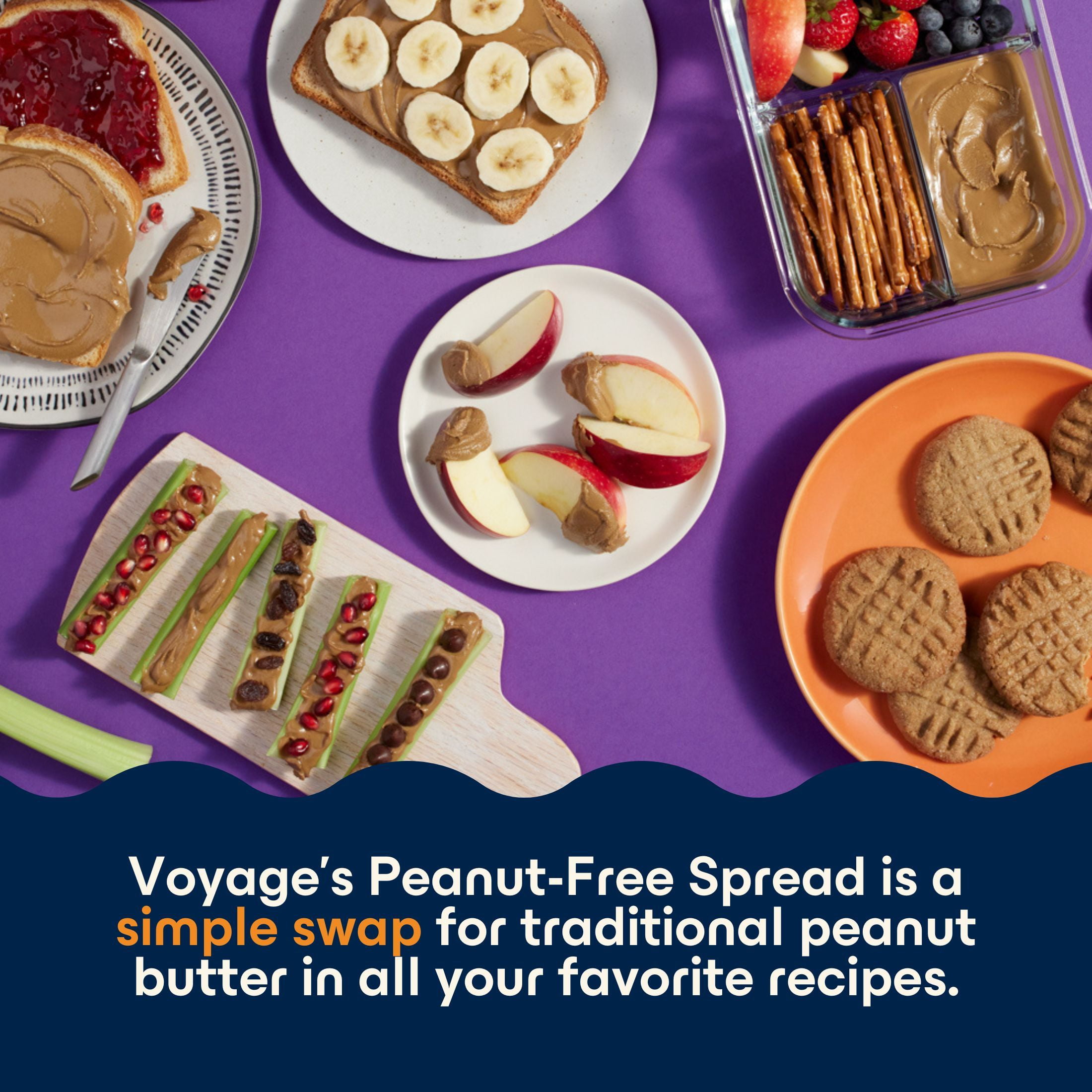 Voyage Foods Top 9 Allergen-Free Peanut-Free Spread 16 oz Jar