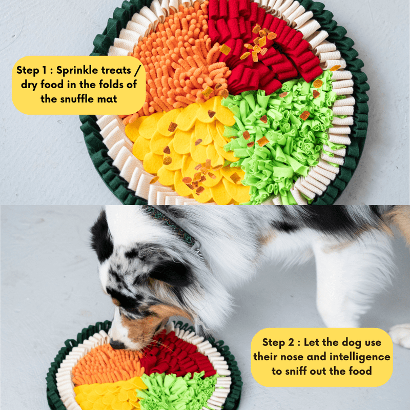 LUVMYFIDO Sushi Enrichment Foraging Snuffle Mat for Dogs, Dog Puzzle Toy, Slow Feeding Mat