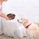 thumbnail image 5 of Cuencos para perros, cuencos de alimentación para perros pequeños, cuencos de agua con suela de silicona antideslizante, cuenco para perros de acero inoxidable MFZFUKR CPB-DE-SSW2068-2, 5 of 5