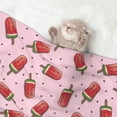 thumbnail image 2 of Disketp Watermelon Ice Cream Dog Blanket/Bed Cover for Dogs and Cats,Puppy Essentials-Small, 2 of 8