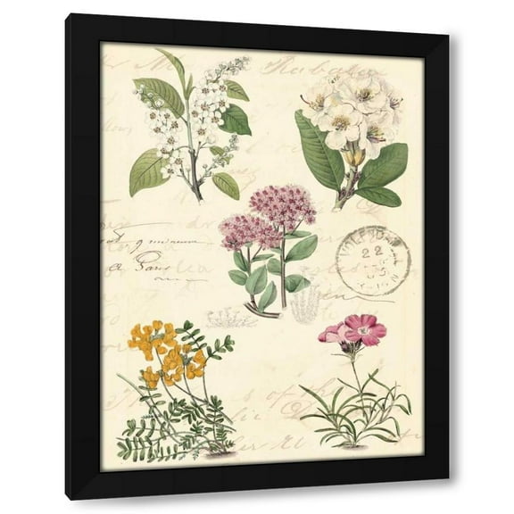 Vision Studio 12x14 Black Modern Wood Framed Wall Art Titled - Botanical Journal II