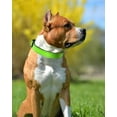 thumbnail image 2 of Reflective Dog Collar , 11 Colors,Soft Neoprene Padded Breathable Nylon Pet Collar Adjustable for Small Medium Large Extra Large Dogs,4 Sizes, 2 of 6