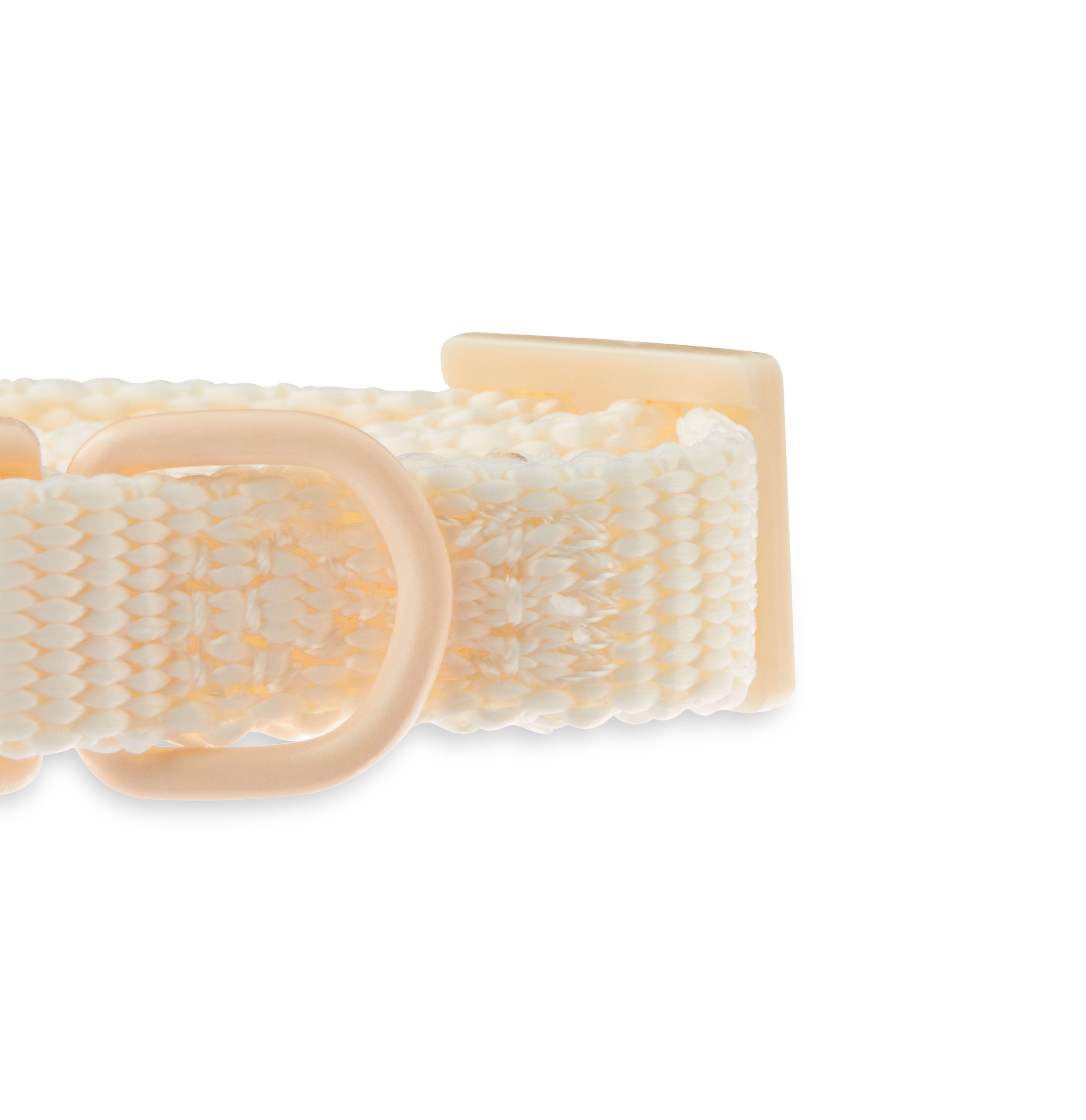 Vibrant Life Solid Adjustable Dog Collar, Cream, X-Small