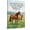 Frame-style, variant on Christian Bible Verse Wall Art Horse Canvas Painting Ephesians 4 32 Scripture Poster Be Kind and Compassionate Home Decor for Living Room Bedroom Farmhouse Decor