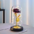 thumbnail image 1 of Rosa eterna en cloche regalo para mujer, rosa de la bella y la bestia en cristal con luces LED, regalo de flores artificiales para mamá, abuela, pareja, hermana, aniversario, decoración de boda Afortunado Sencillez, 1 of 1