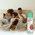 thumbnail image 2 of EcoSmart Natural, Plant-Based Bed Bug Killer for Mattresses & Carpets, 14 Ounce Spray Aerosol Can (Pack of 2), 2 of 5