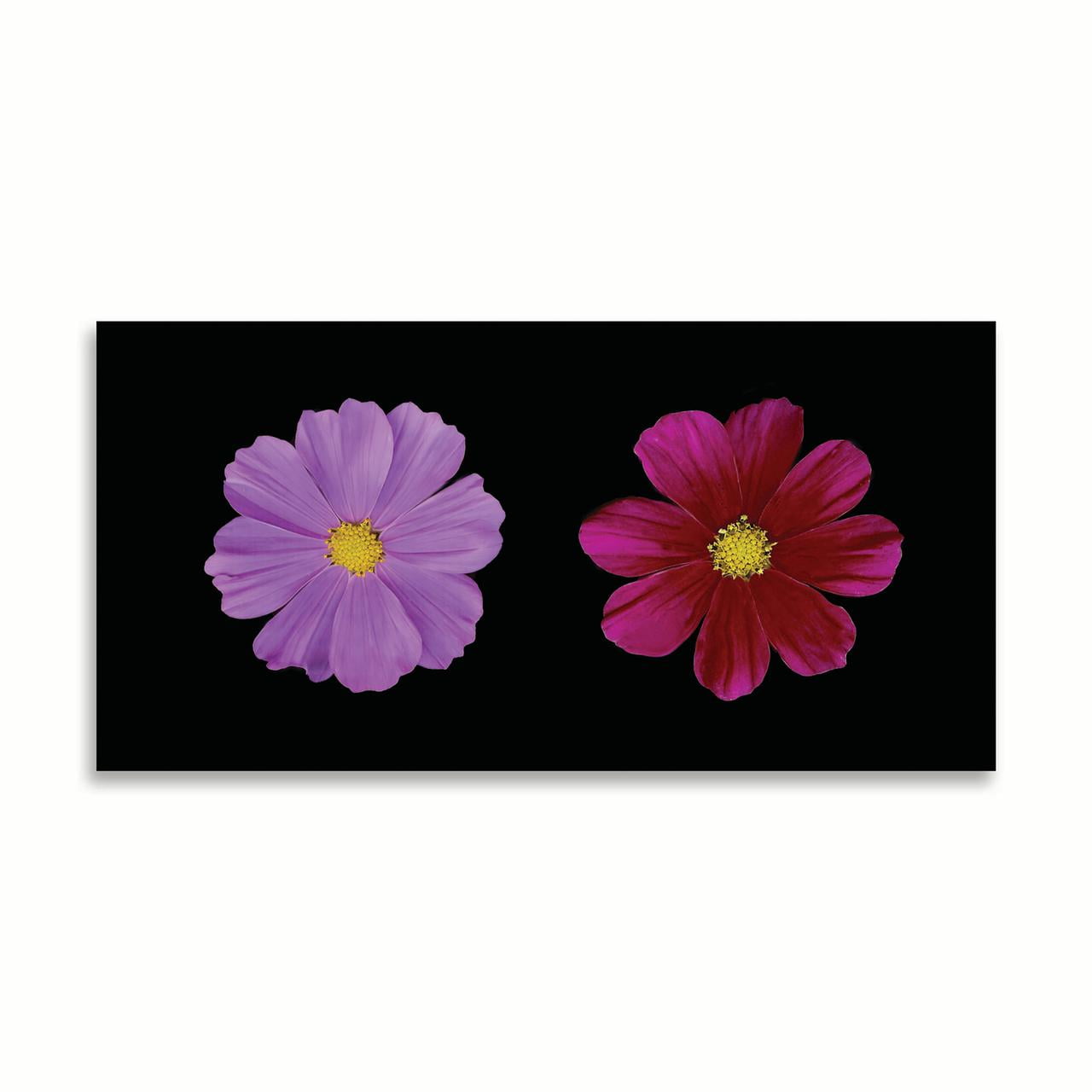 NEW* Daisy Duet Photographic Print