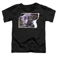thumbnail image 2 of Harry Potter Dobby Worn Photo Kids T Shirt (2) for Youth Toddler Boys and Girls, Black, 2 of 5