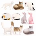 thumbnail image 1 of Set de figuras de gatos genéricas realistas en miniatura de PVC, 10 unidades, 1 of 1