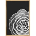 thumbnail image 3 of PixonSign Framed Canvas Print Wall Art Lily Pad Succulent Botanical Flower Photography Modern Art Contemporary Dramatic Dark Black and White for Living Room, Bedroom, Office - 24"x36" Natural, 3 of 5