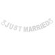 thumbnail image 4 of KAKOWELY Bunting De Plateado Con Letras Just Married En Duradero Para Decoraciones, 4 of 5