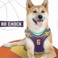 thumbnail image 4 of Dog Harness and Leash Set, Adjustable Step in Pet Vest Harness Soft Easy Walk, No Chock Puppy Harness for Small Medium Dogs, 4 of 5