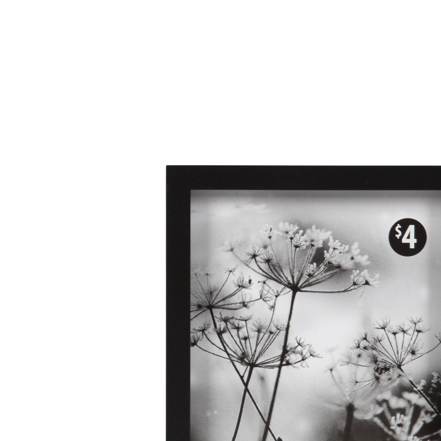 Gally Black Picture Frame, 4" x 6"