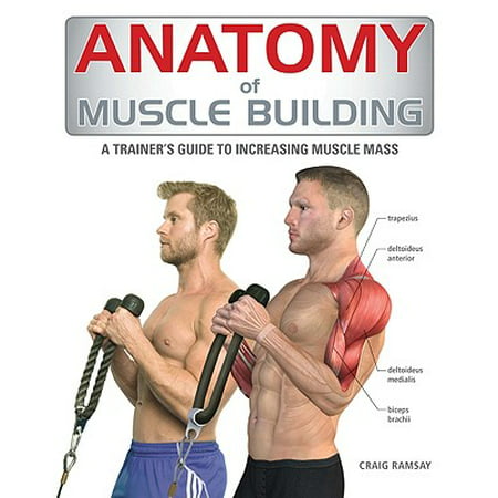 Anatomy of Muscle Building : A Trainer's Guide to Increasing Muscle (Best Routine For Muscle Mass)