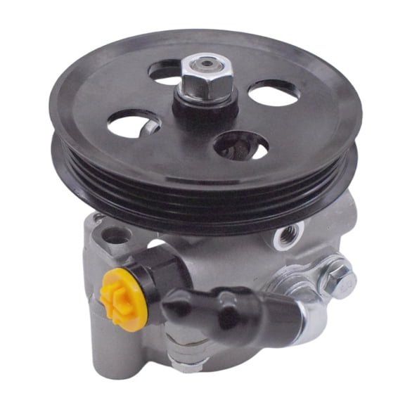 Panlongic Power Steering Pump w/ Pulley for Toyota 98-03 Sienna 99-03 Solara 3.0L V6