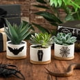 thumbnail image 3 of Maceta Jingmore Gothic Decor de cerámica con bandeja de bambú (3 unidades), 3 of 6