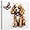 Dog Canvas Wall Art, variant on ZHONGYUTONG Dog Canvas Wall Art Funny Animal Pictures Colorful Puppy Painting Dog and Butterfly Poster for Kids Room Decor Framed (12.00" x 12.00")