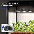 thumbnail image 4 of Luz LED de cultivo Barrina GrowForce BG02 de 200 W de espectro completo, 4 of 9