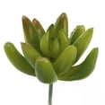 thumbnail image 4 of K-Cliffs 10pcs Artificial Mini Succulents Faux Cactus Plants Unpotted DIY Home Decor Green, 4 of 12