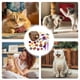 thumbnail image 1 of Juguetes Interactivos para Gatos, Juguete para Ratón, Accesorios para Gatos para Ejercicio de Mascotas, Juguetes Beneficiosos para Gatos Lindos para Cachorros, 22 Piezas, 1 of 8