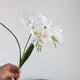 thumbnail image 1 of Nvzi 2 piezas de flores artificiales de tacto real, flores falsas para decoración del hogar, oficina, boda, arreglo de ramo de flores artificiales para decoración (blanco, 25,2 pulgadas de largo), 1 of 5
