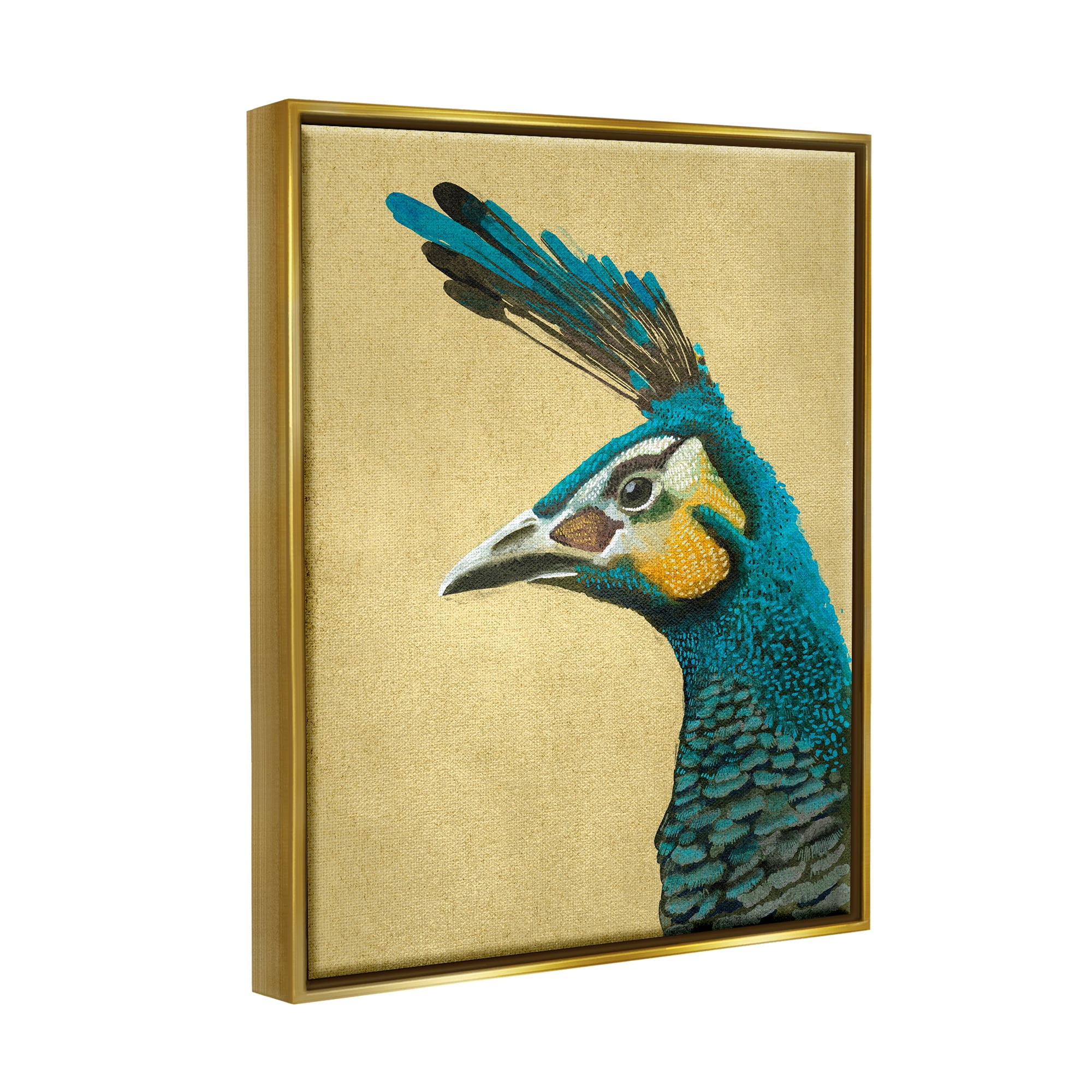 Stupell Industries Peacock Looking Left Animals & Insects Painting Gold Floater Framed Canvas Art Print Wall Art, 25 x 31