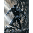 thumbnail image 3 of Black Panther 1-2 collection de Films [DVD]-Anglais Seulement, 3 of 6