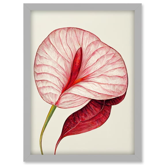 Single Red Laceleaf Flower Illustration Anthurium Artwork Framed Wall Art Print A4