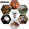 thumbnail image 2 of Lámpara de calor de vidrio de alta calidad para reptiles, 4 bombillas solares para acuario de tortugas con luz de espectro completo UVA UVB, promueve el crecimiento saludable y la absorción de calcio, 2 of 5