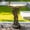 #1 Brown, variant on Hamiedun Modern Garden Birdbath 24.4" H Fibre Reinforced Concrete Outdoor Bird Bath with Stable Pedestal Base Decorative Yard Lawn Patio Bird Water Bowl Weather Resistant Gray Finish