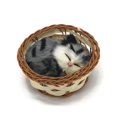 thumbnail image 4 of Coolayoung 2 Piezas Gato Durmiendo En Cesta Muñeca Juguete Mini Gatito En Cesta Tejida Con Sonidos De Maullidos Decoración Para Escritorio De Oficina Juguete De Mano Regalo Para Niños Niñas, 4 of 5