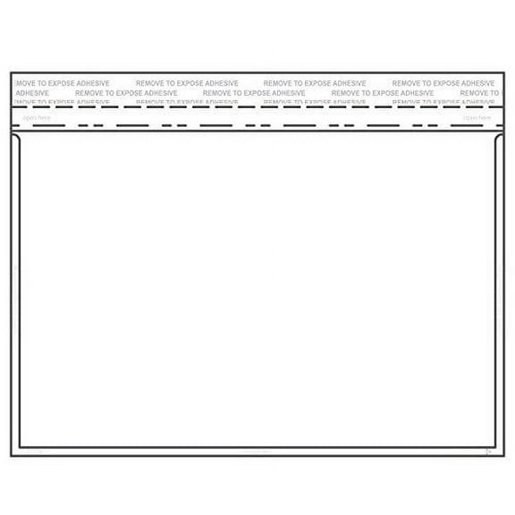 EnvyPak Clear Booklet/Catalog Envelope - Permanent Peel and Seal Closure - Holds 5.75" x 8.5" Insert - Box of 500