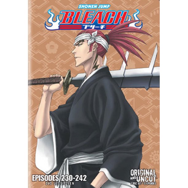BLEACH BOX SET 16 (DVD/UNCUT/3 DISC/VIVA) (DVD)