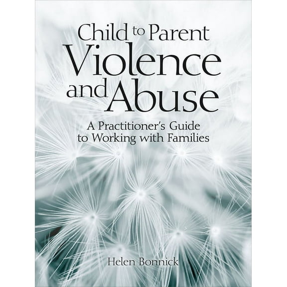Child to Parent Violence and Abuse : A Practitioner's Guide to Working with Families (Paperback)