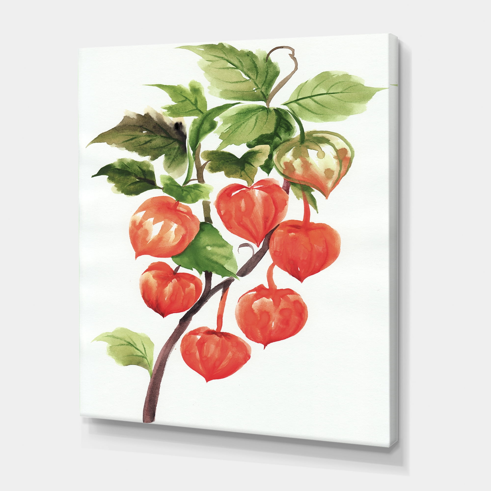 Designart ' A Red Physalis Branch ' Traditional Canvas Wall Art Print