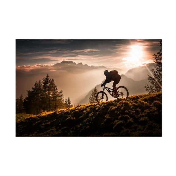 Sandi Bertoncelj 'Golden Hour Biking' Canvas Art